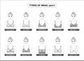 Set of types of female bras Royalty Free Stock Photo