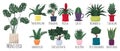 Set of 12 types of home flowers in a variety of colored pots. Cute indoor plants in a hand drawing. Flat style in vector. The plan