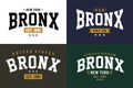 Set typography design Bronx t-shirt graphic vector