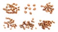 Set of uncooked buckwheat on white background