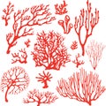 Set of underwater coral reef plants.