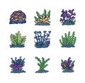 Set of underwater plants, hand drawn line style with digital color