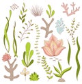 Set of Underwater Whimsical Plants - Seaweed, Coral, Flowers.
