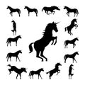 Set Unicorn silhouette Royalty Free Stock Photo