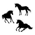 A set of unicorn silhouettes in motion with a beautiful mane. Royalty Free Stock Photo