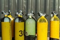 Set of yellow oxygen bottles for scuba diving