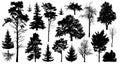 Set of a variety of forest trees. Isolated on white background. Collection of silhouette vector illustration Royalty Free Stock Photo