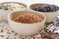 Set of variety of gourmet rice in bowls. Selective focus Royalty Free Stock Photo