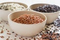 Set of variety of gourmet rice in bowls. Selective focus