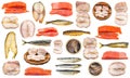 Set of varios smoked fishes cut out on white Royalty Free Stock Photo