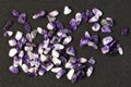 Set of various amethyst natural mineral stones and gemstones on black background Royalty Free Stock Photo