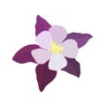 Vector illustration of aquilegia flowers of different colors Vector collection of colored aquilegia