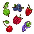 Set of various berries. Royalty Free Stock Photo