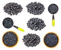 Set of various black beans cutout on white