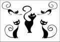 Set of various black cat silhouettes. Sitting cat, lying cat, two stretching cats and one cat with round back. Cool for Halloween