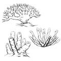 Set of various black and white contour cartoon corals. The object is separate from the background. Royalty Free Stock Photo