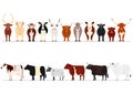 Set of various breeds cow border