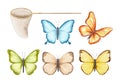 Watercolor set with various bright butterflies and net