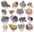 Set of various brown unpolished minerals with name