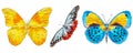 Set of various butterflies isolated on white background. Colorfull flying insects. Natural bright wildlife detailed illustration.