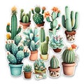 Set of various cacti in pots. Watercolor illustration.