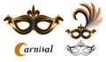 Set of various carnival masks with the image of animals horse. Carnival concept illustration. Black mask with a golden pattern