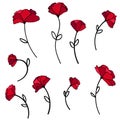 Set various colored flowers. Hand drawn sketch poppies Royalty Free Stock Photo