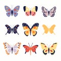 Set various colorful butterflies collection isolated white background. Different butterfly species