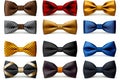 A set of various colorful masculine visual style bow tie designs isolated on white background