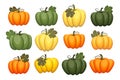 Set of various colorful pumpkins with leaves. Thanksgiving icons vector Royalty Free Stock Photo