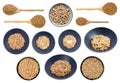 Set of various cooked and raw emmer wheat grains