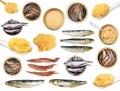 Set of various cooked sardine and sprat fishes