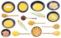 Set of various cooked and uncooked maize corns Royalty Free Stock Photo