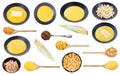 Set of various cooked and uncooked maize corns