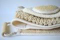 A set of various cosmetic beauty body massage brushes for dry brushing Royalty Free Stock Photo
