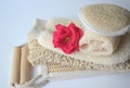 A set of various cosmetic beauty body massage brushes for dry brushing