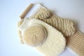 A set of various cosmetic beauty body massage brushes for dry brushing Royalty Free Stock Photo