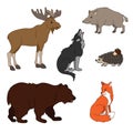 Set of various cute animals, forest animals. Wolf, fox, bear, wild boar, moose, hedgehog. Vector illustration isolated on white