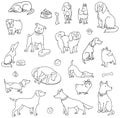 Set of various dogs Royalty Free Stock Photo