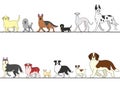 Set of various dogs walking in line