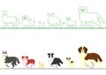 Set of various dogs walking in line Royalty Free Stock Photo