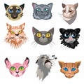 Set of various domestic cats faces vector illustration