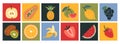 Set of various exotic tropical fruits, cartoon style. Square colorful icons. Funny bright stickers Trendy modern vector Royalty Free Stock Photo