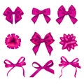 Set of various festive pink bows for celebration