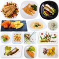 Set of various fish dishes Royalty Free Stock Photo