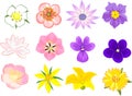 Set of various flowers