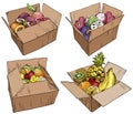 Set of various fresh, exotic fruits in cardboard boxes.
