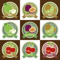 Set of various fresh fruit premium quality tag label badge sticker and logo design in vector Royalty Free Stock Photo