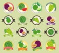 Set of various fresh fruit and vegetable premium quality tag