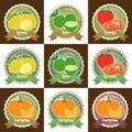 Set of various fresh fruit and vegetable premium quality tag label badge sticker and logo design in vector